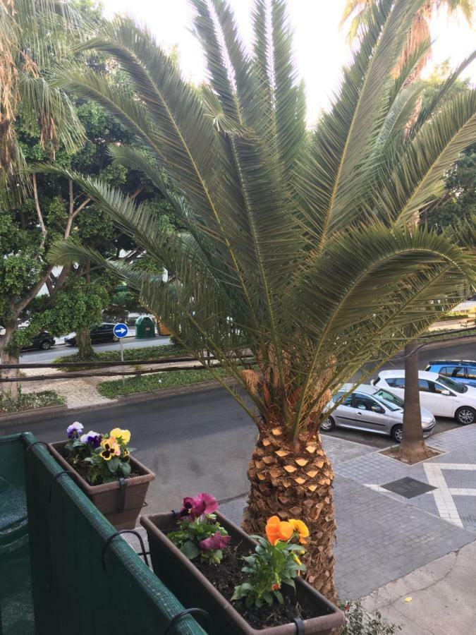 New Apartment & Parking Alcazaba Малага Екстериор снимка